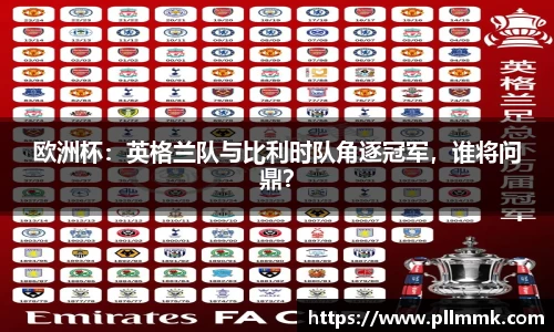 VSport网址