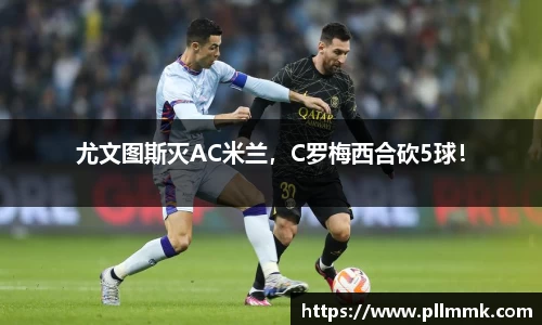 VSport网址