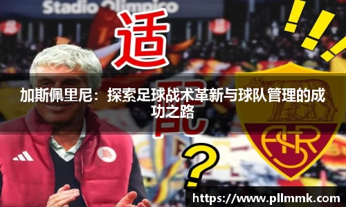 VSport网址