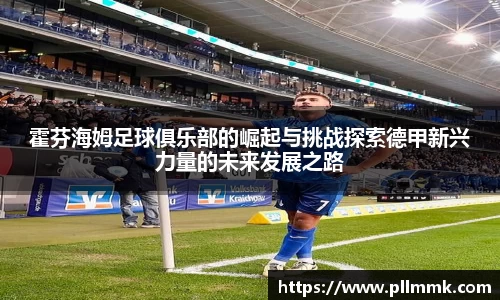 霍芬海姆足球俱乐部的崛起与挑战探索德甲新兴力量的未来发展之路